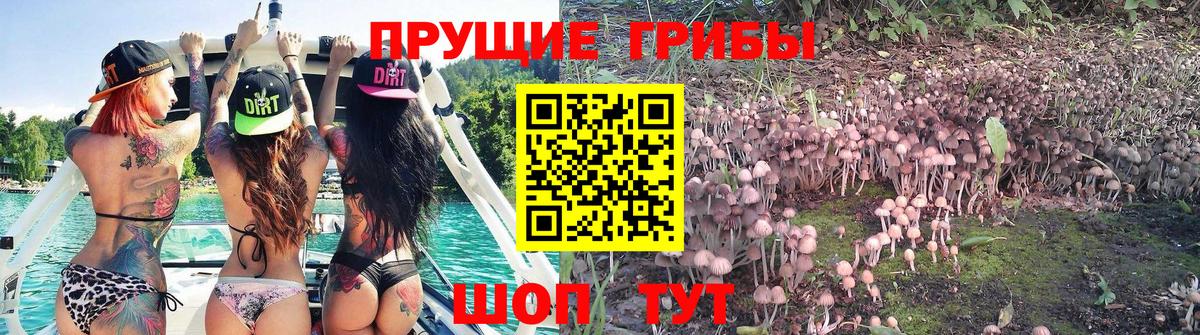Псилоцибиновые грибы мицелий  Вход с VPN  Городец  Псилоцибиновые грибы MAGIC MUSHROOMS 